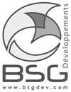 bsg logo100